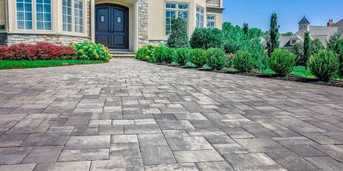 Landscaping, 3D Paver Driveway, Design, Plants, Outdoor Living, Paver Patio