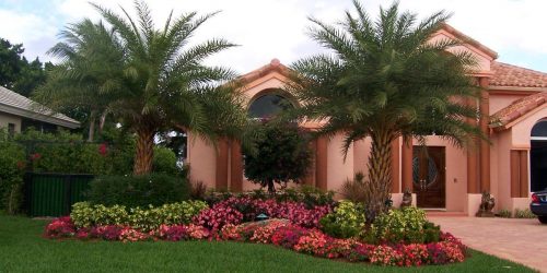 Tropical Landscapes, Free Estimate, Landscaping, Flower Beds, Plan Install