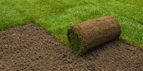 Sod Installation, Sod Installer, New Sod, Sod Company, Sod Contractor